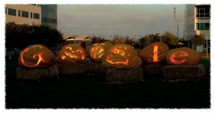 Google giant pumpkins 10 31 2011