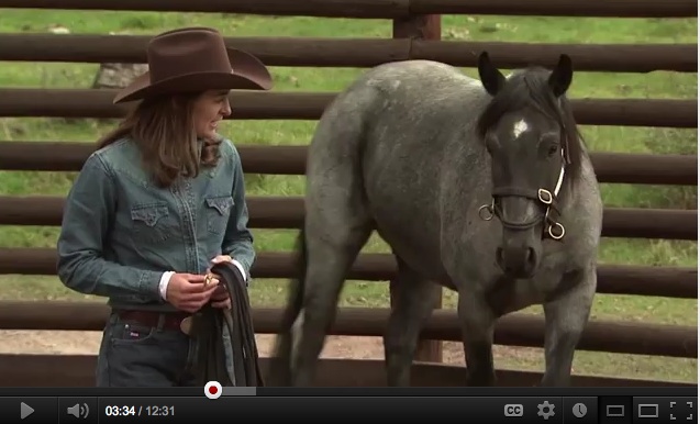Koelle Simpson TED talk on YouTube (screenshot of Koelle and horse)