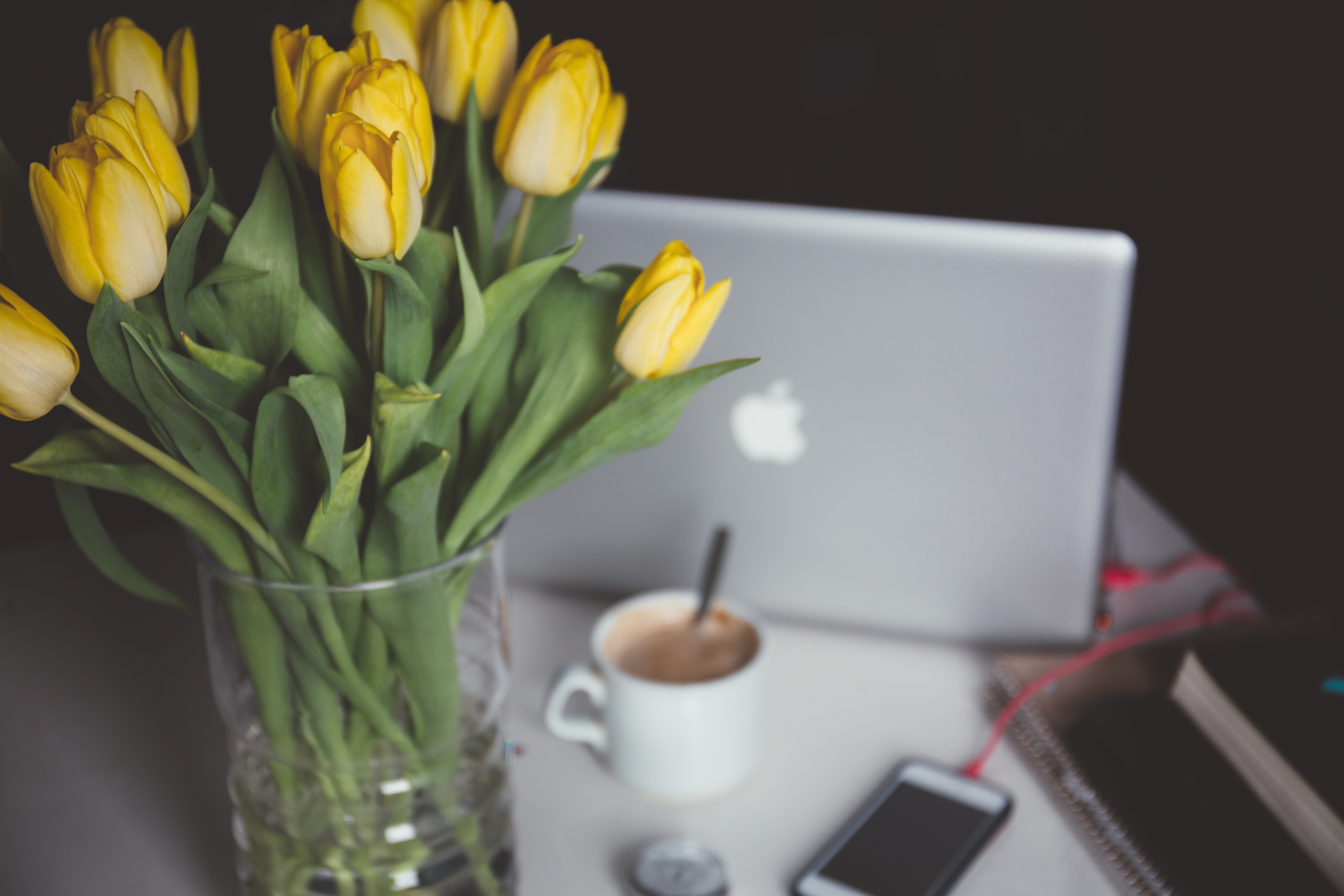 Decorative photo of a desk with a Macbook and vase of yellow tulips